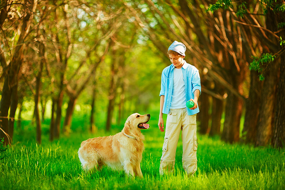 Kind und Hund